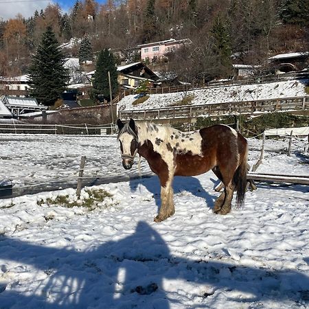 Bio-Bauernhof Auernig Villa Obervellach Buitenkant foto