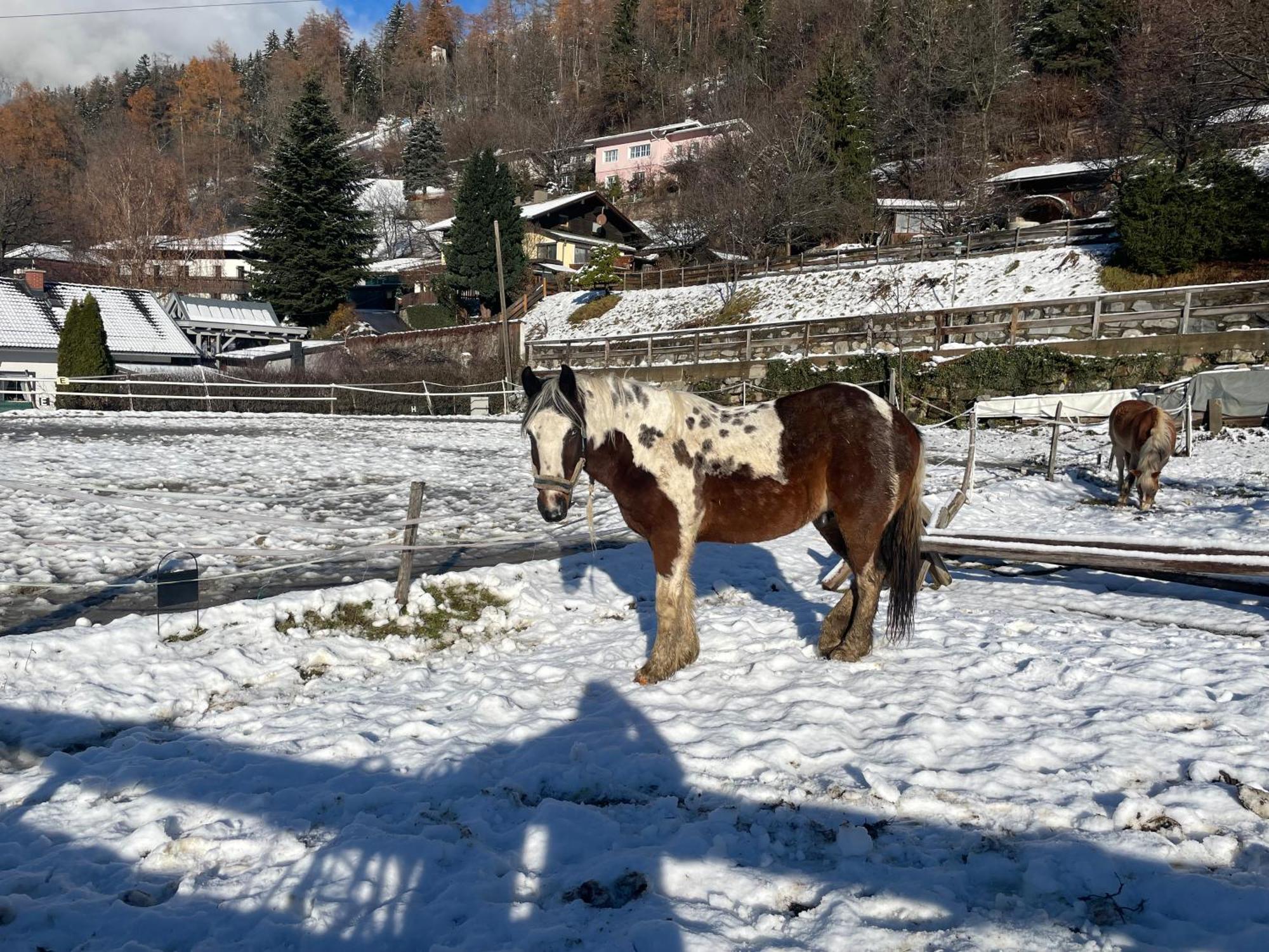 Bio-Bauernhof Auernig Villa Obervellach Buitenkant foto